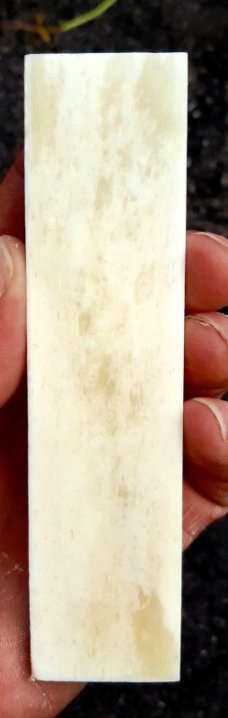 Bovine Bone Knife Handle Blanks Pair