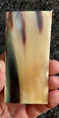 Yak Horn Knife Handle Blanks Pair