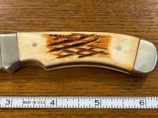 Frost Cutlery 10-162FW "Little Coon Skinner II" Drop Point Hunting Knife w/Stag Scales Japan