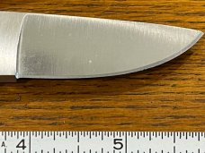 Frost Cutlery 5 7/8" Drop Point Hunting Knife w/Smooth Bone Scales