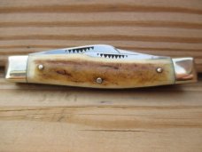 Bulldog Brand Stag Stockman    Old Dominion Knife Collectors Assn. 