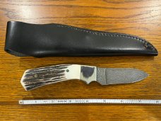 Bear MGC USA  7 1/2" Drop Point Hunting Knife w/Damascus Blade & Stag Scales