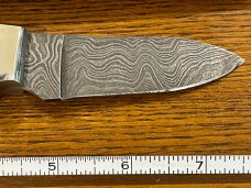 Bear MGC USA  7 1/2" Drop Point Hunting Knife w/Damascus Blade & Stag Scales