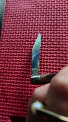 Schrade
