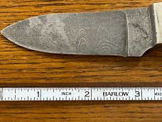 Custom 7 1/2" Drop Point Hunting Knife w/Damascus Blade & Stag Scales