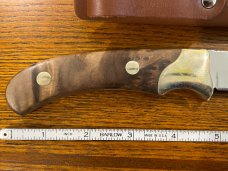 Hunter North American Hunting Club Clip Point Hunting Knife w/Burled Walnut Scales