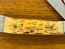 Parker-Edwards 1423-2 Trapper Folding Knife w/Jigged Stag Scales