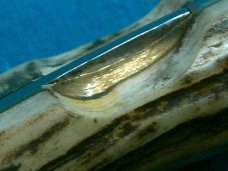 VINTAGE STAG CUTLASS CI STAINLESS 542 JAPAN LOCKBACK BAREHEAD FOLDING JACK POCKET KNIFE KNIVES OLD