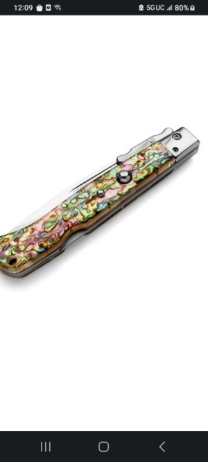 AKC WORLD ROMA IN BEAUTIFUL ABALONE SHELL WITH LOTS OF PINKS AND REDS