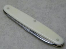 E Bruckmann Solingen-O Germany Imitation Ivory Pen Knife - C. 1891-1956
