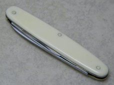 E Bruckmann Solingen-O Germany Imitation Ivory Pen Knife - C. 1891-1956