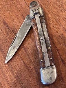 Weidmannsheil Koenig  Springer " in need of love "