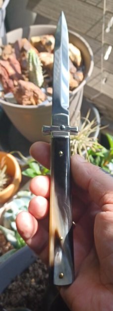 AGA CAMPOLIN DOMINUS 9INCH IN BRAZILIAN HORN 