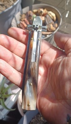 AGA CAMPOLIN DOMINUS 9INCH IN BRAZILIAN HORN 