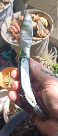 AGA CAMPOLIN DIANA IN BUFFALO HORN 