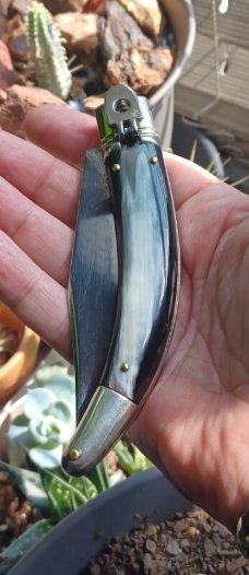 AGA CAMPOLIN DIANA IN BUFFALO HORN 