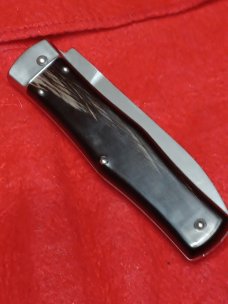 Mikov Dark Horn. 