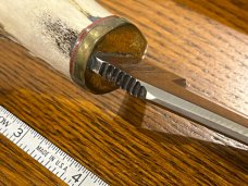Parker Brothers Trailing Point Hunting Knife w/Crown Stag Handle