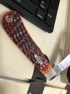 Case backpocket 61546 cv carbon steel chestnut bone