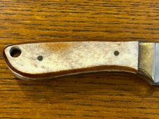Parker Cut. Co. 5" Eagle Skinner III Fixed Blade Drop Point Knife w/Smooth Bone Scales