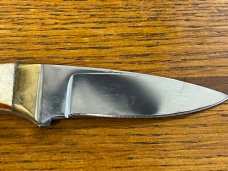 Parker Cut. Co. 5" Eagle Skinner III Fixed Blade Drop Point Knife w/Smooth Bone Scales