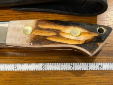 Parker Cut. Co. Tak Fukuta 8 1/8" Drop Point Hunting Knife w/Stainless Steel Blade & Stag Scales Jap