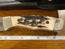 Parker USA 6 3/8" Trailing Point Hunting Knife w/Damascus Blade & Stag Scales