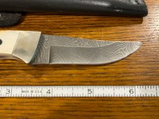 Parker USA 6 3/8" Trailing Point Hunting Knife w/Damascus Blade & Stag Scales