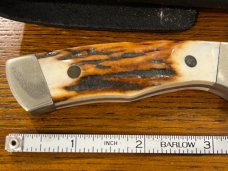 Parker USA 6 3/8" Trailing Point Hunting Knife w/Damascus Blade & Stag Scales