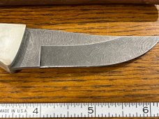 Parker USA 6 3/8" Trailing Point Hunting Knife w/Damascus Blade & Stag Scales