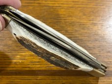 Parker-Frost 2-Blade Trapper Folding Knife w/Stag Scales 