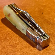 Taylor's Eye Custom Twin Blade Barlow-Clip & Pen blades and Rams Horn scales and back spring filing