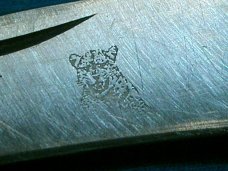 VINTAGE PARKER BONE LEOPARD JAPAN LOCKBACK FOLDING HUNTING SKINNING FOLDER POCKET KNIFE KNIVES OLD