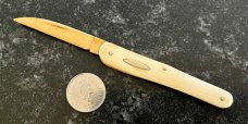 Unique All Ivory Handle, Spine and Wharncliffe Blade Vaccination Knife 