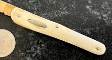 Unique All Ivory Handle, Spine and Wharncliffe Blade Vaccination Knife 