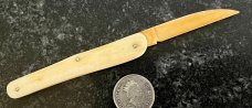 Unique All Ivory Handle, Spine and Wharncliffe Blade Vaccination Knife 