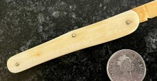 Unique All Ivory Handle, Spine and Wharncliffe Blade Vaccination Knife 
