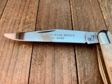 Queen Limited Stag Series Muskrat 1982