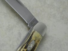 Case XX USA 2020 Stag 52165 SS Tiny Folding Hunter Knife in Box