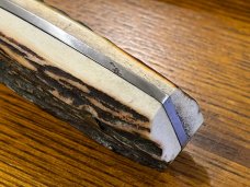 08 Parker-Edwards Trailing Point Hunting Knife w/Damascusl Blade & Stag Scales A175DS 