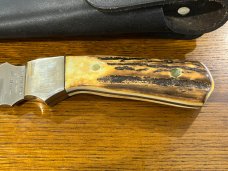10 Parker-Edwards Trailing Point Hunting Knife w/Stainless Steel Blade & Polished Stag Scales A175SS
