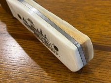 01 Parker-Edwards Trailing Point Hunting Knife w/Stainless Steel Blade & Scrimshaw Stag Scales A175S