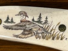 01 Parker-Edwards Trailing Point Hunting Knife w/Stainless Steel Blade & Scrimshaw Stag Scales A175S
