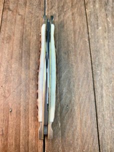 German Eye Carl Schlieper Half Congress Stag German Made 