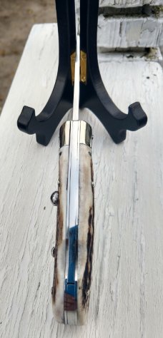 AKC Speed Hunter Stag