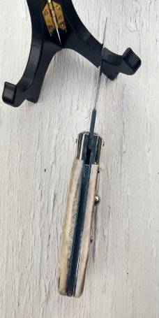 AKC Speed Hunter Stag