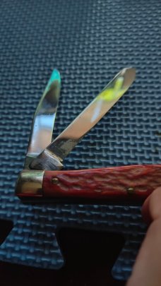 Robeson Shuredge USA