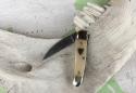 Great Eastern Cutlery Tidioute 190120 Little Rattler Smooth White Bone with Button NEW