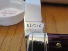 Great Eastern 2022 AAPK Club Knife 1 of 100 Elderberry Coon Skinner Pattern # 81822  
