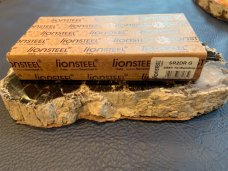 LionSteel SR2DRG (Italy)